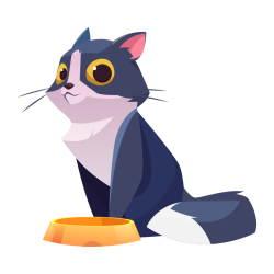 Katzenpflege Katzenpflege